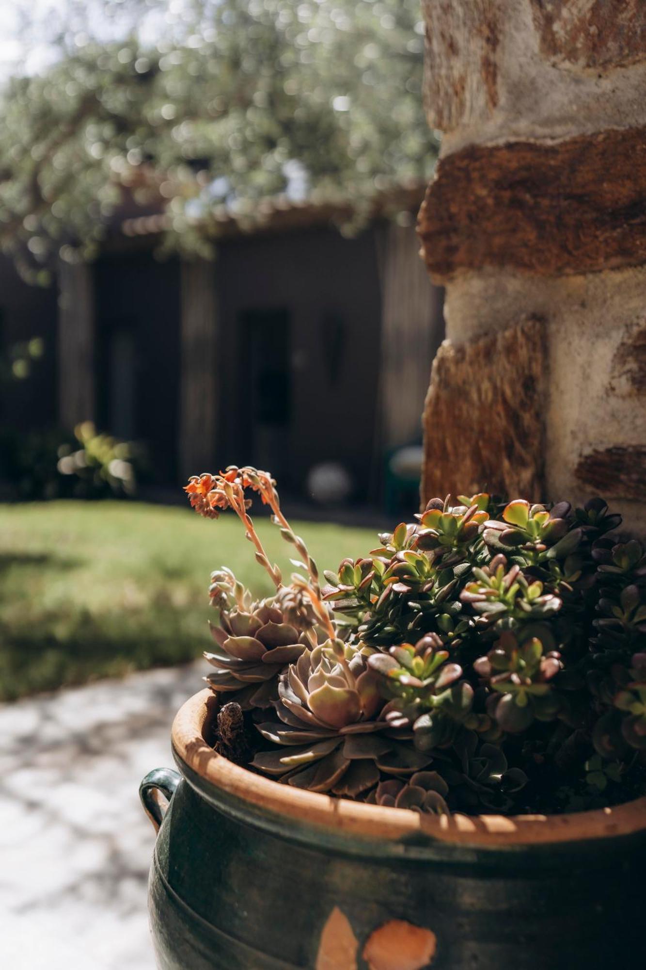 La Villa D'Andrea Ramatuelle Eksteriør billede